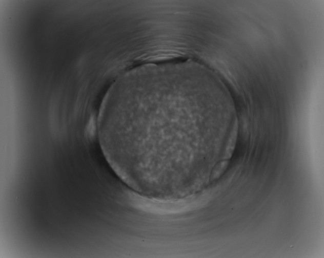 X0000094190042200711161757