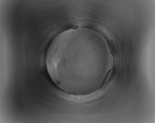 X0000094190043200711161757