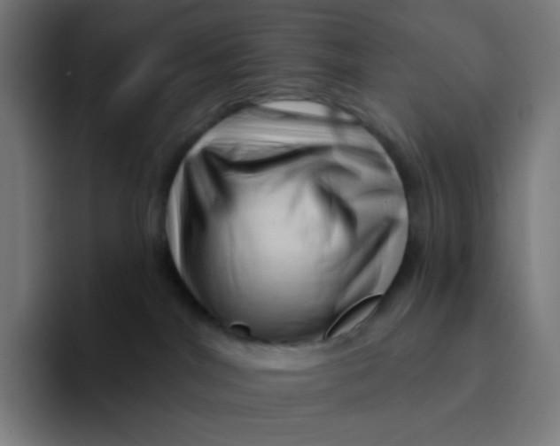 X0000094190044200711161757