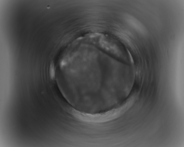 X0000094190046200711161757