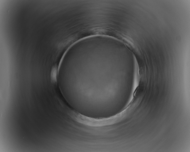 X0000094190047200711161757