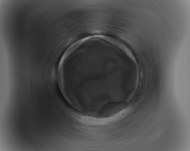 X0000094190048200711161757