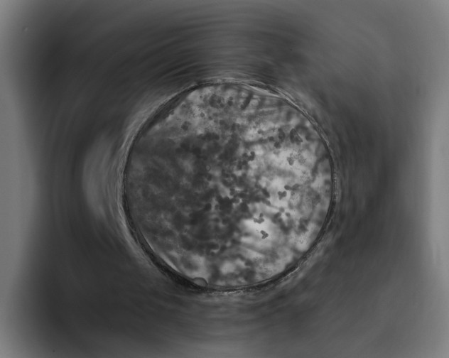 X0000094190049200711161756