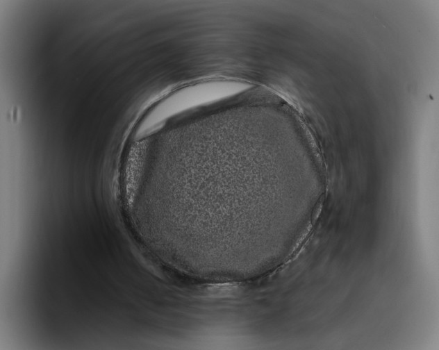 X0000094190050200711161756