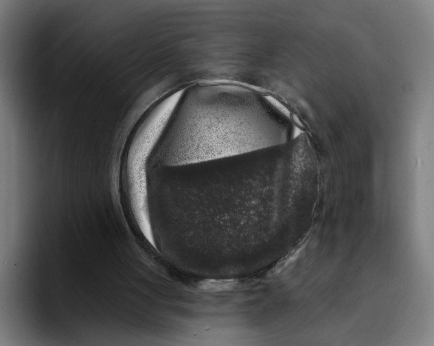 X0000094190051200711161756