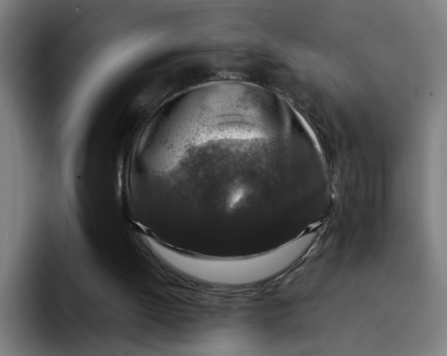 X0000094190052200711161756