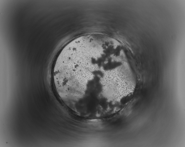 X0000094190053200711161756