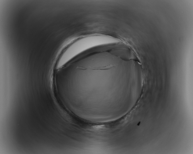 X0000094190054200711161756