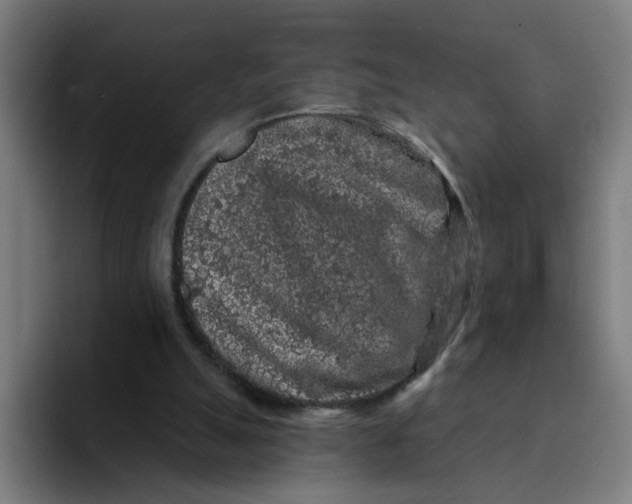 X0000094190055200711161756