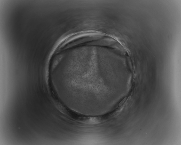 X0000094190056200711161756