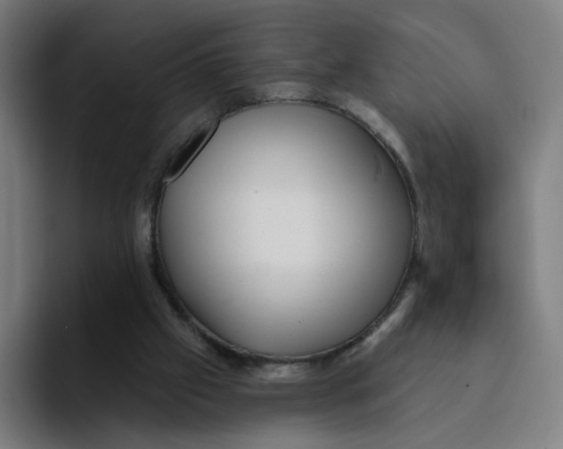 X0000094190057200711161756