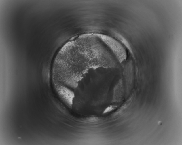 X0000094190059200711161756