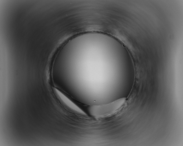 X0000094190060200711161756