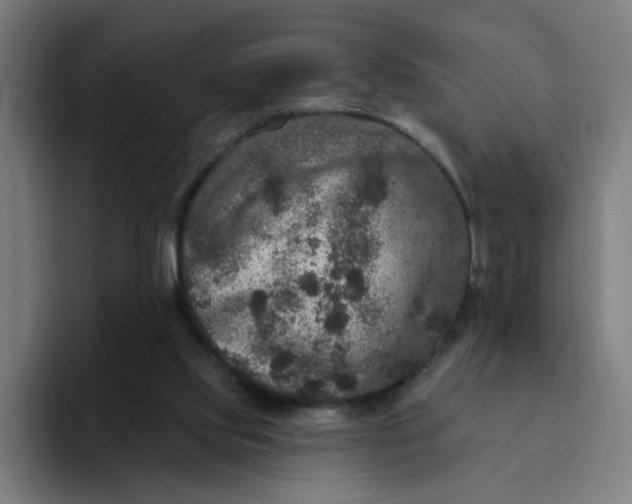 X0000094190061200711161756