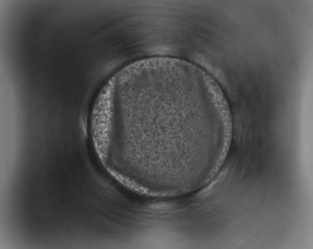 X0000094190062200711161756