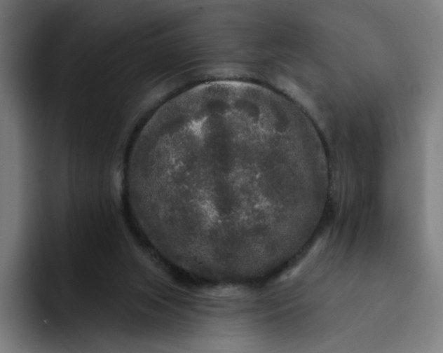 X0000094190063200711161756