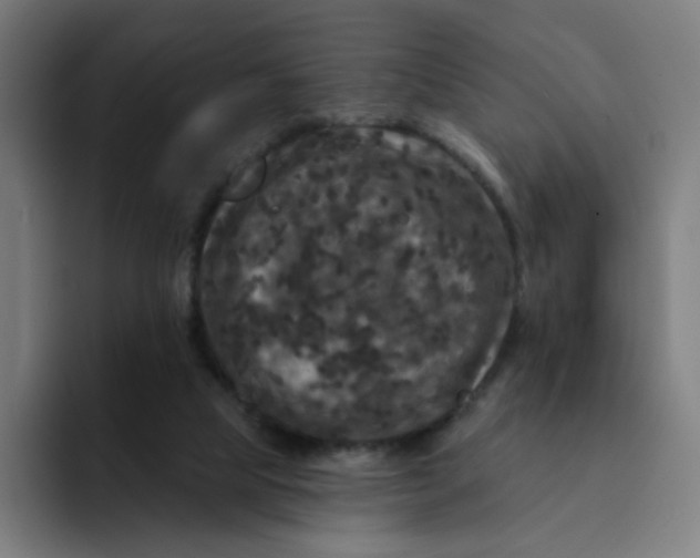 X0000094190065200711161756