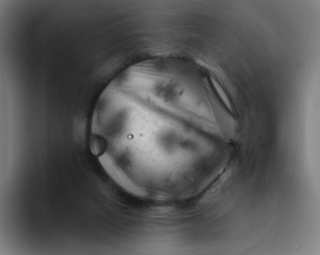 X0000094190066200711161756