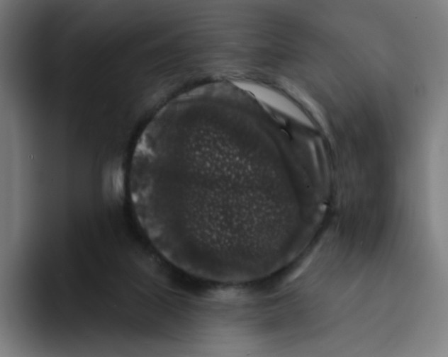 X0000094190067200711161756