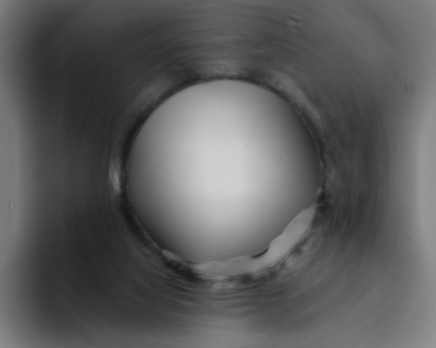 X0000094190068200711161756