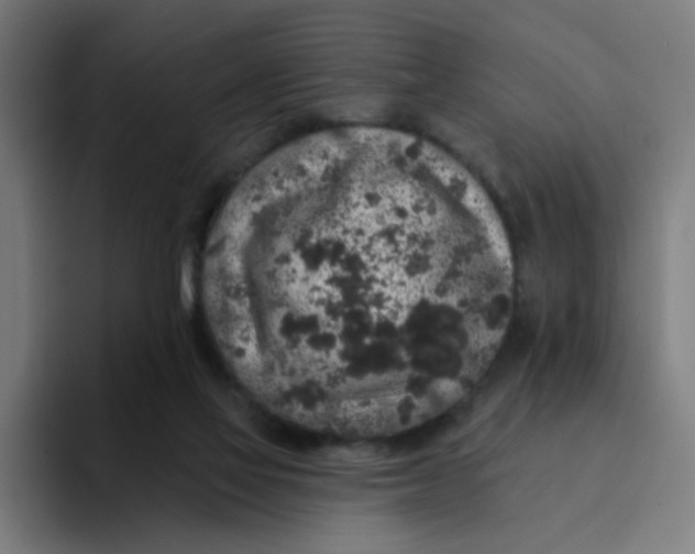 X0000094190069200711161756