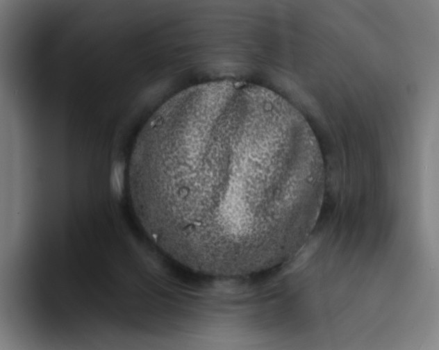 X0000094190070200711161756