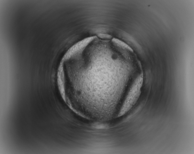 X0000094190073200711161756