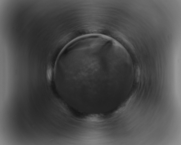 X0000094190076200711161756