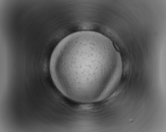 X0000094190078200711161756