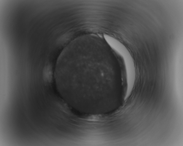 X0000094190080200711161757