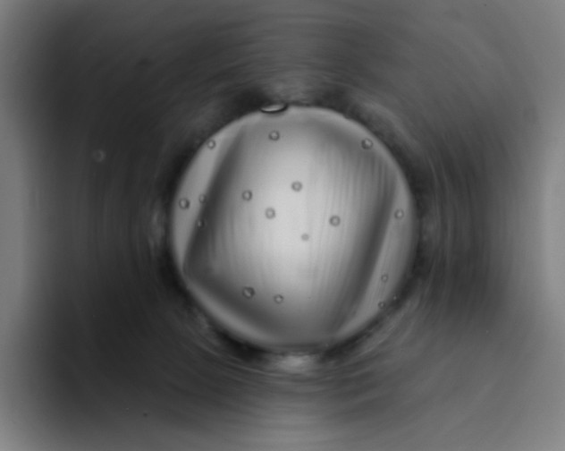 X0000094190081200711161757