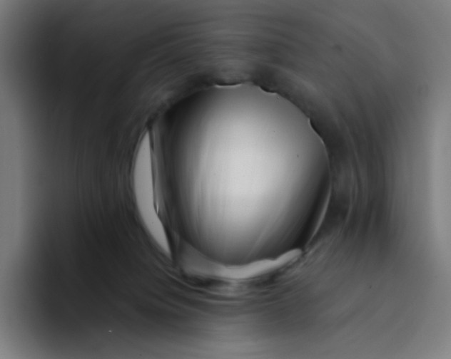 X0000094190084200711161757