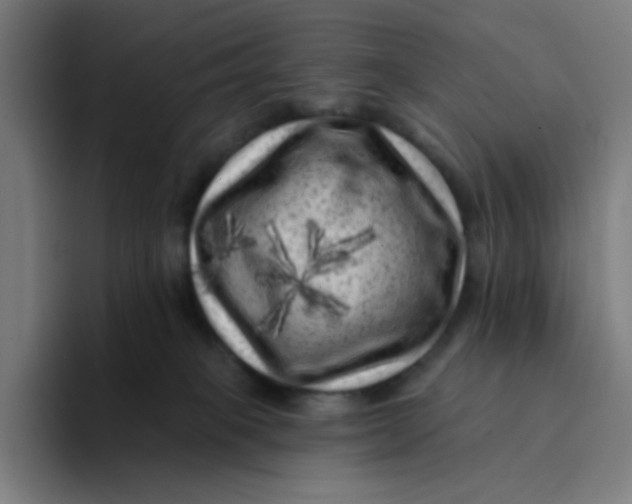 X0000094190085200711161757