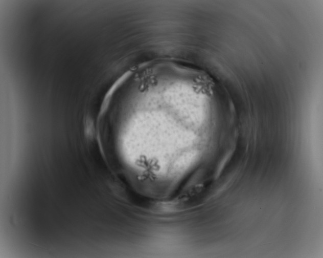 X0000094190089200711161757