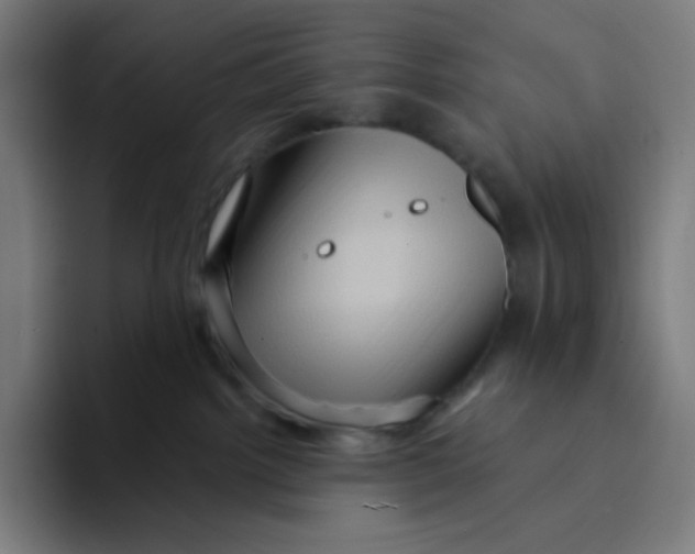 X0000094190092200711161757