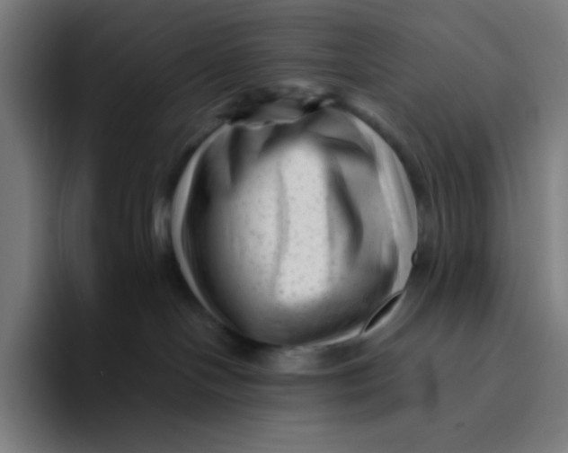 X0000094190094200711161757