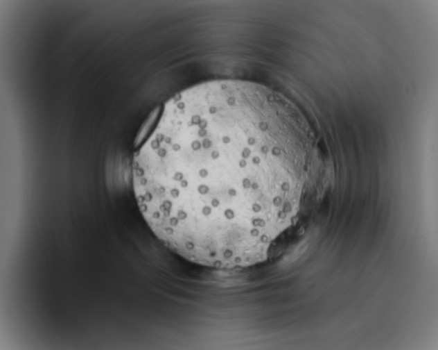 X0000094190095200711161757