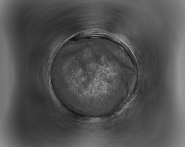 X0000094190097200711161756