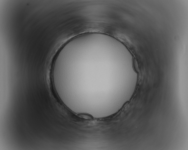 X0000094190098200711161756