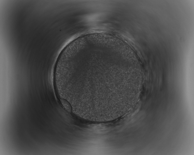 X0000094190100200711161756