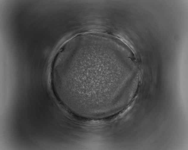 X0000094190101200711161756