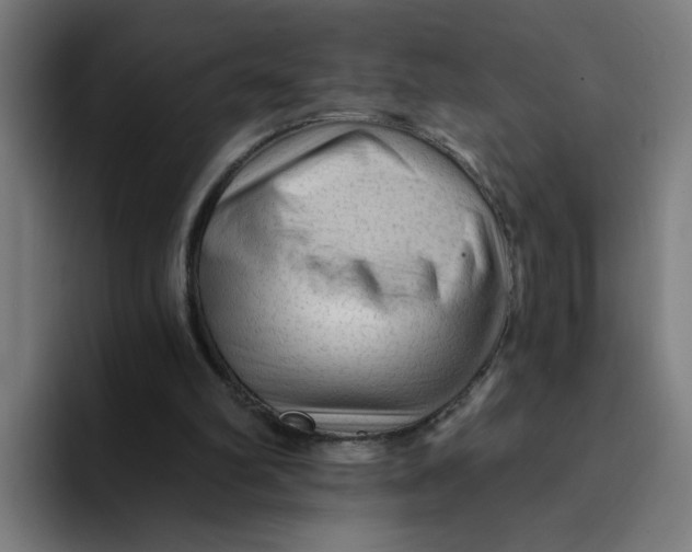 X0000094190102200711161756