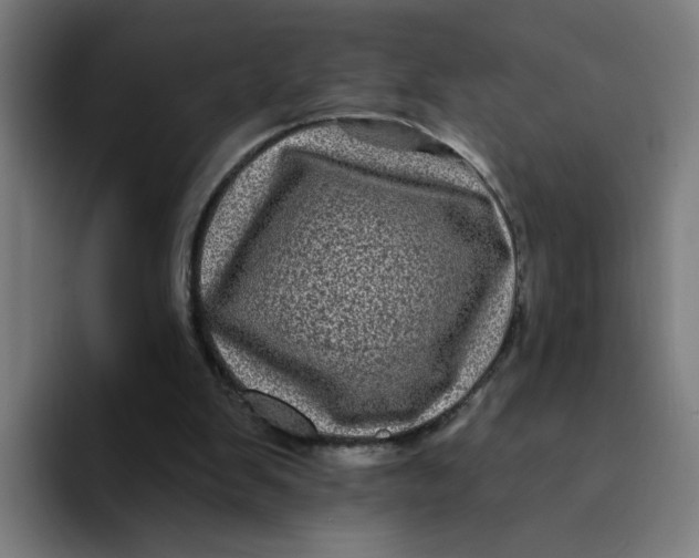 X0000094190103200711161756