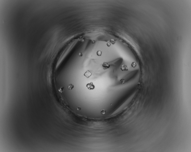 X0000094190107200711161756