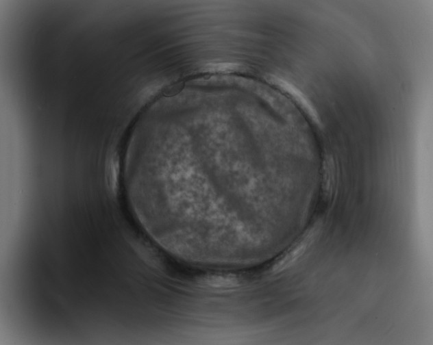 X0000094190110200711161756