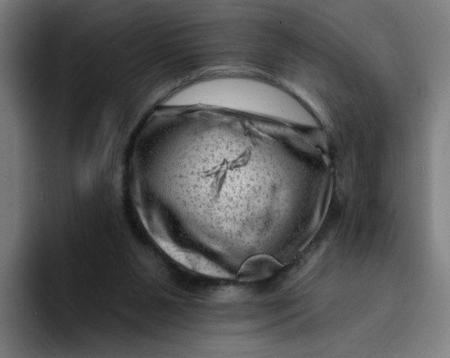 X0000094190111200711161756