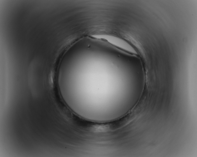 X0000094190115200711161756