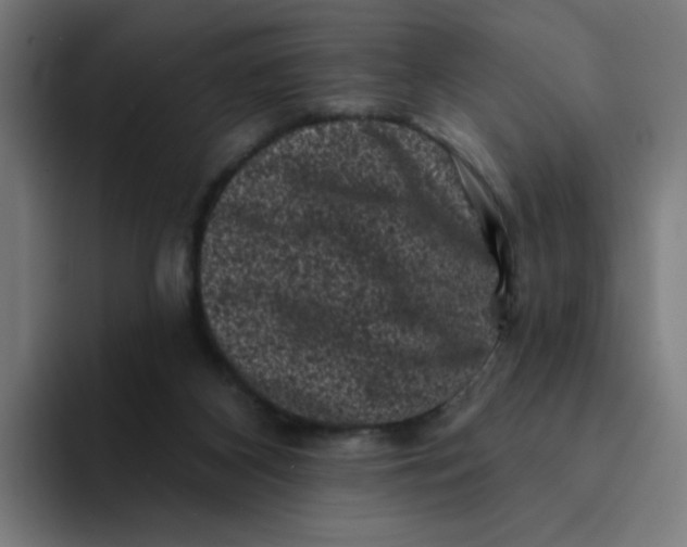 X0000094190116200711161756