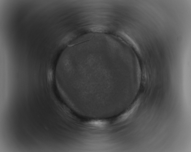 X0000094190117200711161756