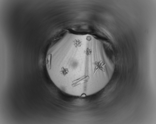 X0000094190119200711161756